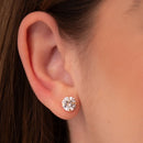 BRINCO ZIRCÔNIA (0,8 MM) (021993)